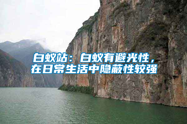 白蟻站：白蟻有避光性，在日常生活中隱蔽性較強