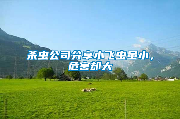 殺蟲公司分享小飛蟲雖小，危害卻大