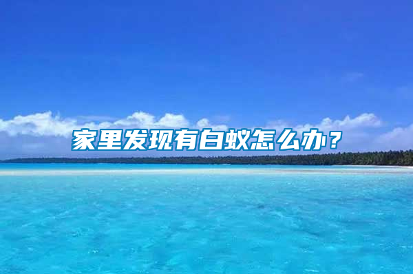 家里發(fā)現(xiàn)有白蟻怎么辦？