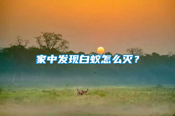 家中發(fā)現(xiàn)白蟻怎么滅？