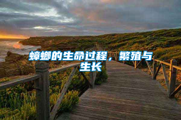 蟑螂的生命過(guò)程，繁殖與生長(zhǎng)