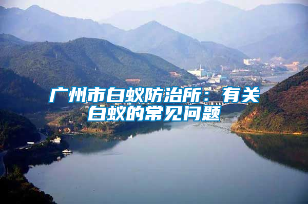 廣州市白蟻防治所：有關(guān)白蟻的常見(jiàn)問(wèn)題