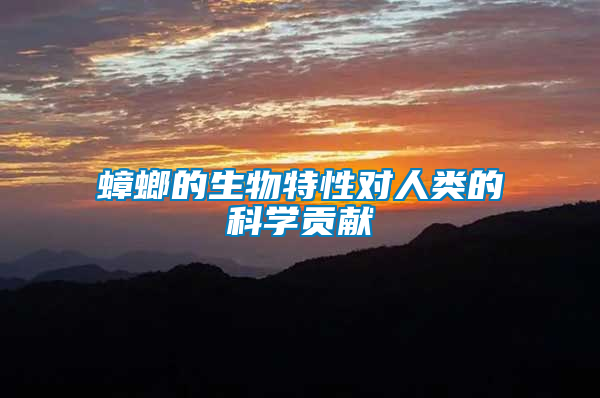 蟑螂的生物特性對人類的科學(xué)貢獻(xiàn)