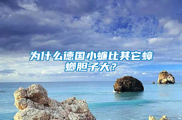 為什么德國(guó)小蠊比其它蟑螂膽子大？
