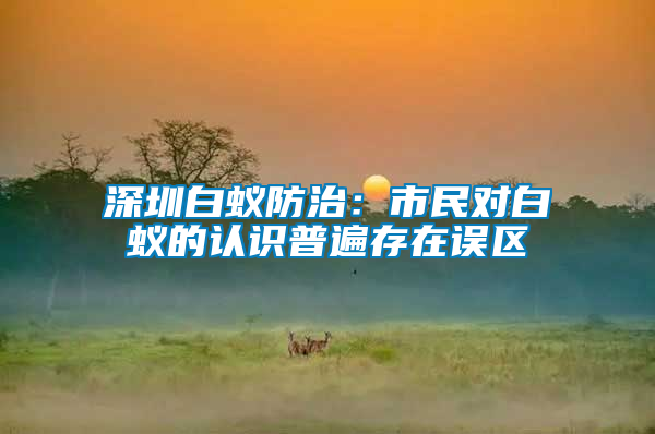 深圳白蟻防治：市民對白蟻的認識普遍存在誤區(qū)