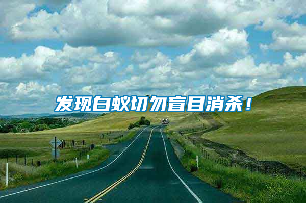 發(fā)現(xiàn)白蟻切勿盲目消殺！