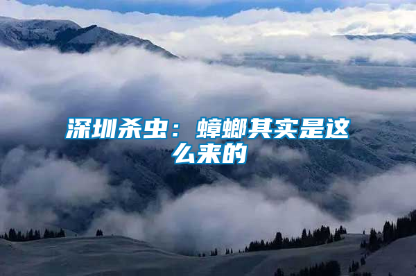深圳殺蟲：蟑螂其實(shí)是這么來的