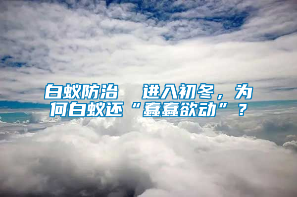 白蟻防治  進(jìn)入初冬，為何白蟻還“蠢蠢欲動(dòng)”？
