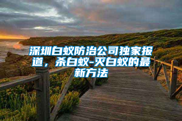 深圳白蟻防治公司獨(dú)家報(bào)道，殺白蟻-滅白蟻的最新方法