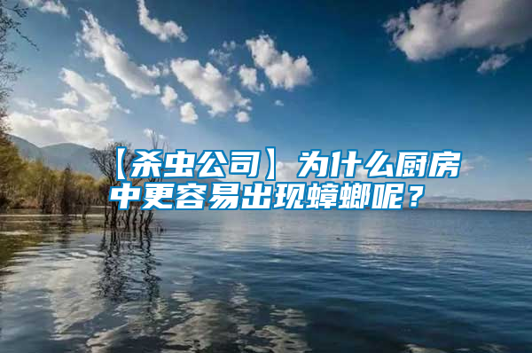【殺蟲(chóng)公司】為什么廚房中更容易出現(xiàn)蟑螂呢？
