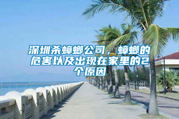 深圳殺蟑螂公司，蟑螂的危害以及出現(xiàn)在家里的2個原因