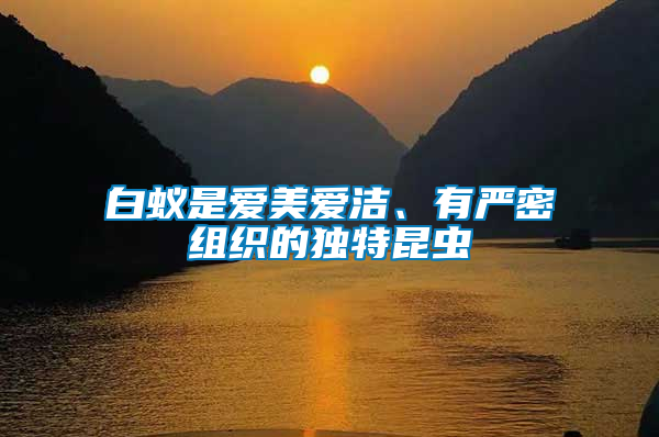 白蟻是愛(ài)美愛(ài)潔、有嚴(yán)密組織的獨(dú)特昆蟲(chóng)