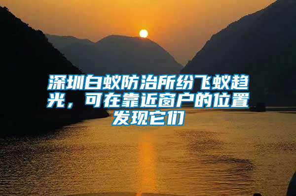 深圳白蟻防治所紛飛蟻趨光，可在靠近窗戶的位置發(fā)現(xiàn)它們