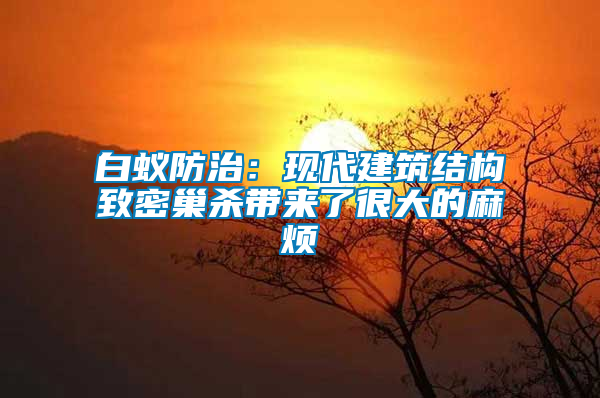 白蟻防治：現(xiàn)代建筑結構致密巢殺帶來了很大的麻煩