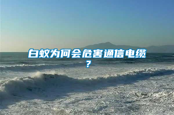 白蟻為何會(huì)危害通信電纜？