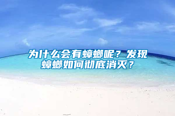 為什么會有蟑螂呢？發(fā)現(xiàn)蟑螂如何徹底消滅？