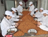 四害消殺：食品、加工行業(yè)